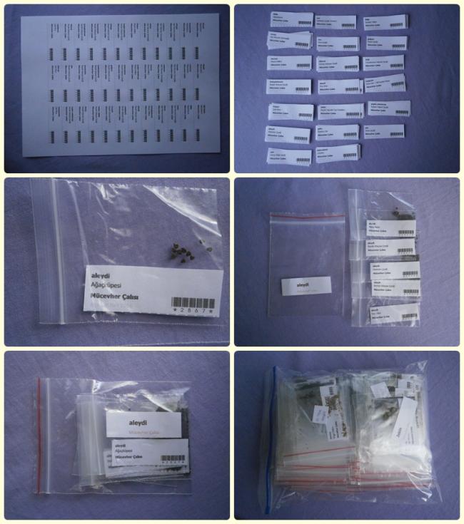 Name:  Tohumlar.jpg
Views: 588
Size:  62.2 KB