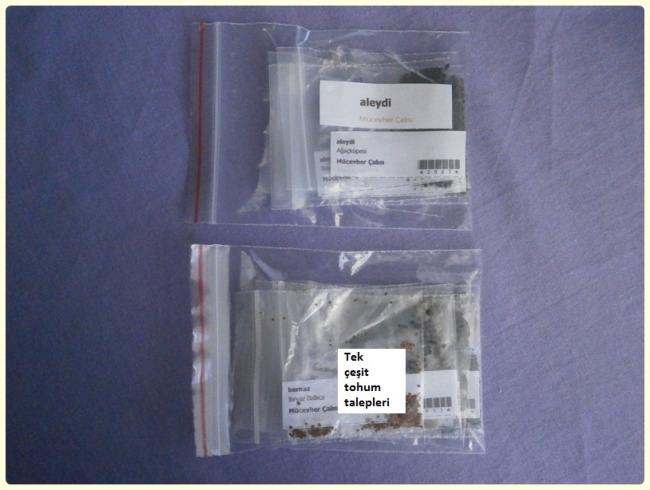 Name:  Tek eit tohum talepleri.jpg
Views: 722
Size:  36.0 KB
