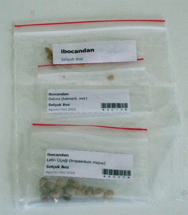 Name:  s-boz.jpg
Views: 320
Size:  45.2 KB