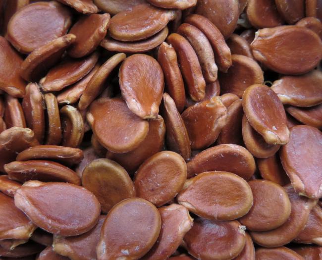 Name:  EtSariTohumAlSeeds.jpg
Views: 937
Size:  57.8 KB