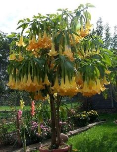 Name:  c28fbd745620a6f50346d33ce14ef2ef.jpg
Views: 1607
Size:  22.8 KB