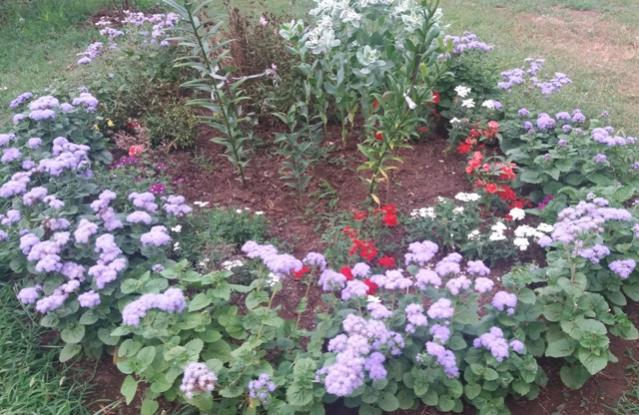 Name:  20160804_192425.jpg
Views: 616
Size:  63.5 KB