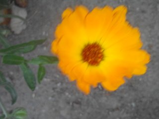 Name:  1477635756888.jpg
Views: 909
Size:  11.2 KB