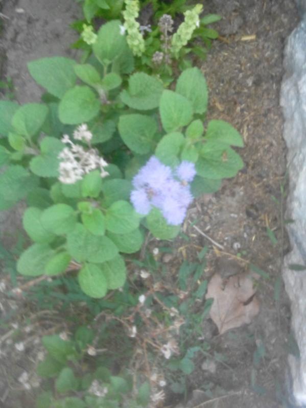 Name:  1.jpg
Views: 1198
Size:  50.6 KB