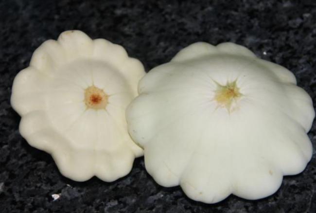 Name:  scallop kaba.jpg
Views: 1114
Size:  23.7 KB