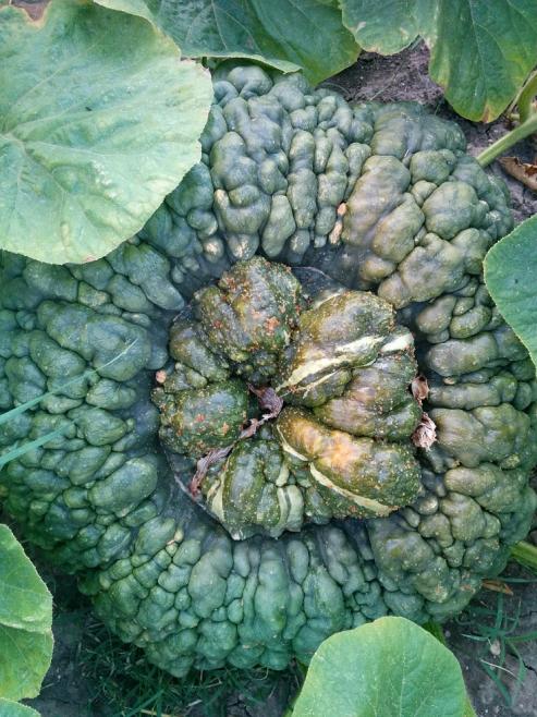 Name:  Marina di Chioggia II.jpg
Views: 3502
Size:  74.7 KB