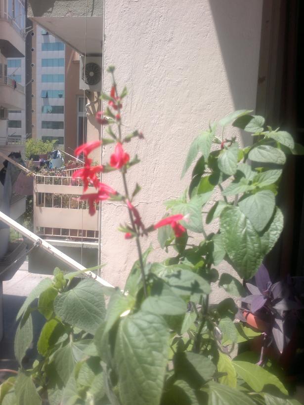 Name:  130720165067.jpg
Views: 766
Size:  71.0 KB