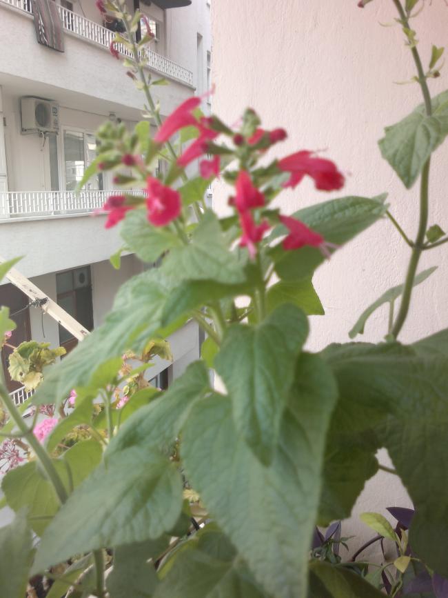 Name:  050820165120.jpg
Views: 429
Size:  62.2 KB