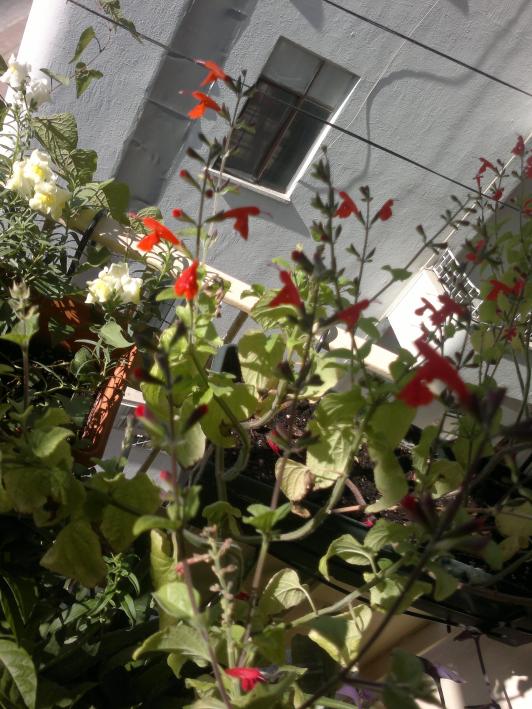 Name:  201020165529.jpg
Views: 430
Size:  74.7 KB