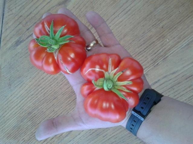 Name:  20170911_163132.jpg
Views: 984
Size:  39.7 KB