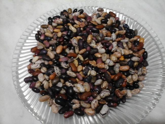 Name:  karadeniz fasulyesi 1.jpg
Views: 533
Size:  51.6 KB