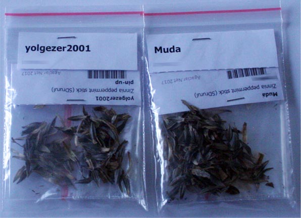 Name:  zimbalama.jpg
Views: 315
Size:  40.3 KB