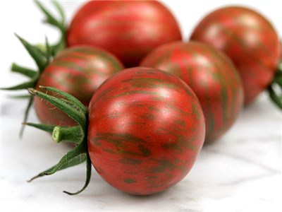 Name:  tomato-purple-bumble-bee.jpg
Views: 698
Size:  23.6 KB