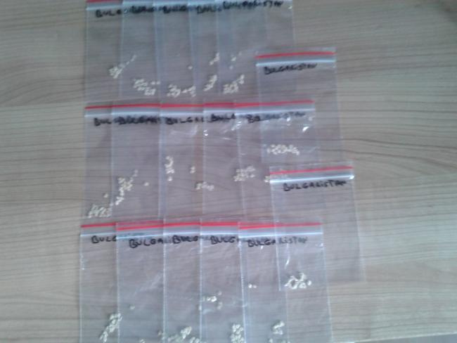 Name:  b 17.jpg
Views: 547
Size:  30.0 KB