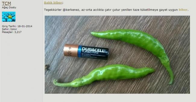 Name:  1.jpg
Views: 464
Size:  32.3 KB