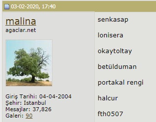 Name:  sil.jpg
Views: 617
Size:  24.6 KB