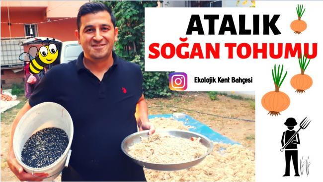 Name:  atalk soan.jpg
Views: 537
Size:  46.5 KB