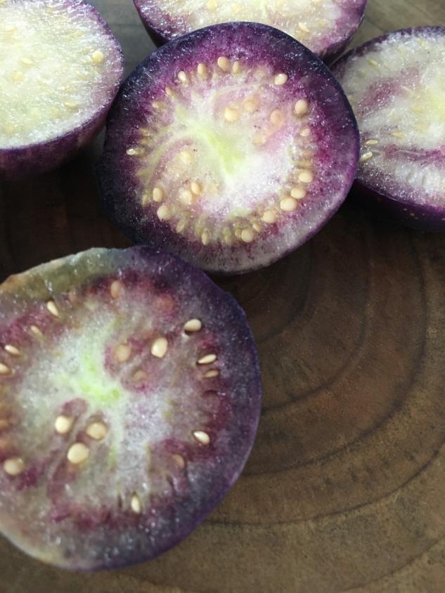 Name:  Tomatillo II.jpg
Views: 836
Size:  70.8 KB