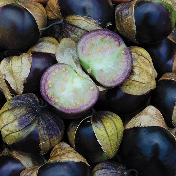 Name:  Tomatillo III.jpg
Views: 817
Size:  68.8 KB