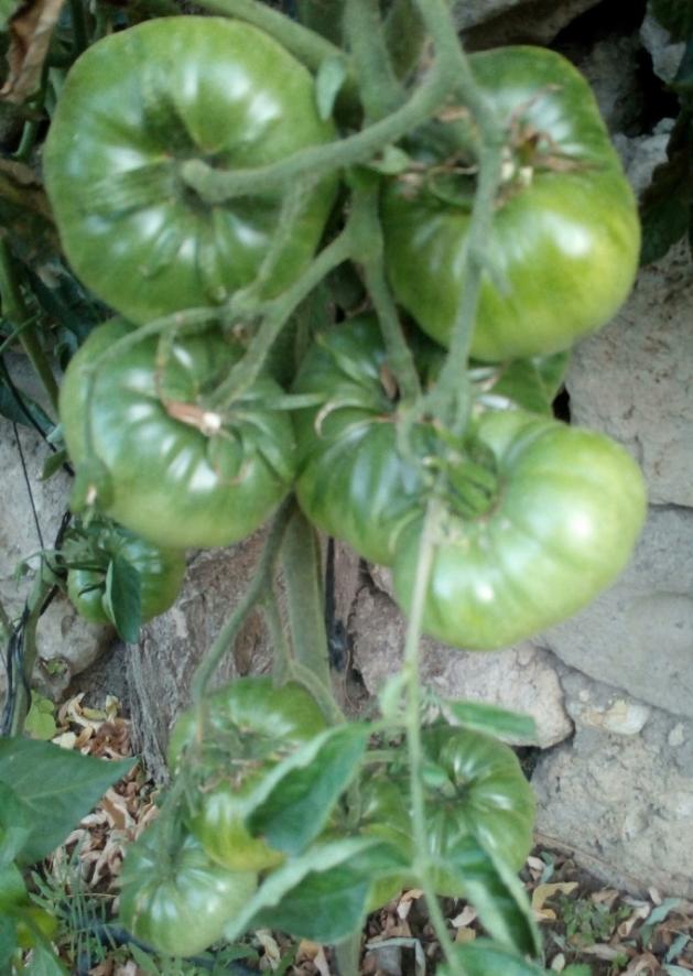 Name:  915202202936.jpg
Views: 748
Size:  71.0 KB