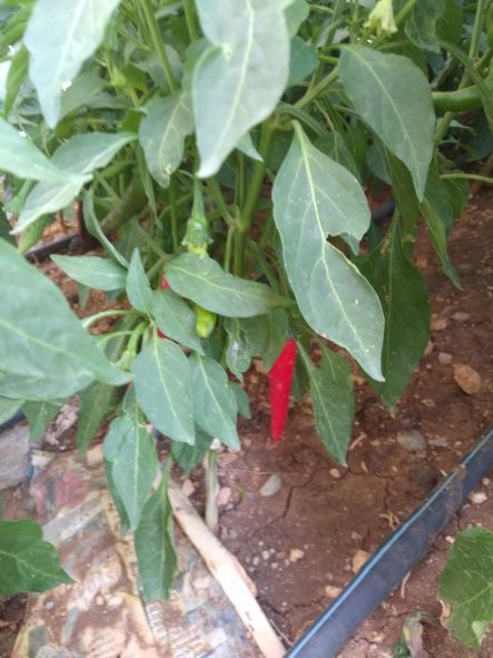 Name:  b3.jpg
Views: 507
Size:  50.4 KB