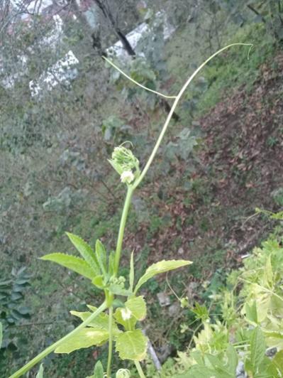 Name:  terlik3.jpg
Views: 242
Size:  43.9 KB