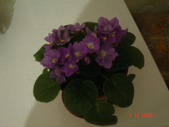 Name:  iek son 0241.jpg
Views: 1546
Size:  24.4 KB