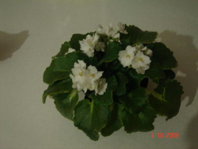 Name:  iek son 0171.jpg
Views: 1519
Size:  24.2 KB