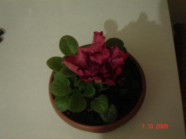 Name:  iek son 0161.jpg
Views: 1729
Size:  21.6 KB