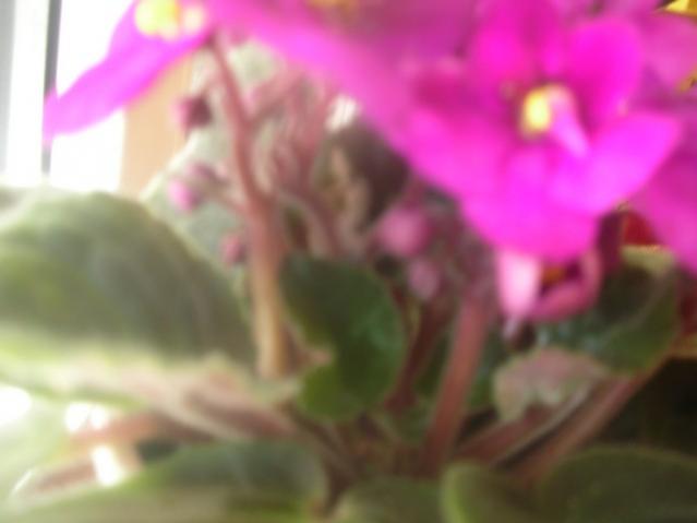 Name:  Image00003.jpg
Views: 1076
Size:  21.4 KB