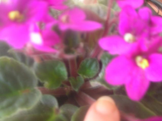 Name:  Image00005.jpg
Views: 1062
Size:  23.1 KB