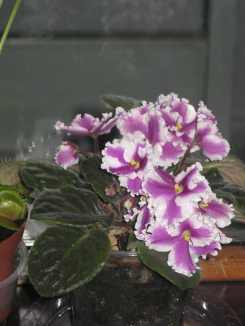 Name:  IMG_1534.jpg
Views: 1241
Size:  36.1 KB