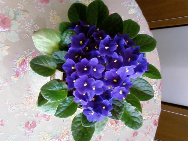 Name:  002.jpg
Views: 1396
Size:  45.0 KB