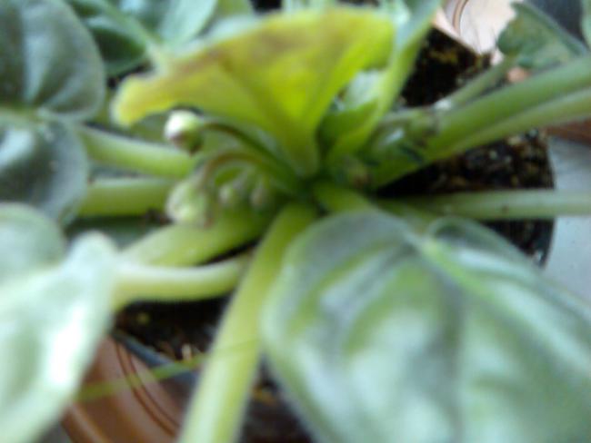Name:  Grnt068.jpg
Views: 1268
Size:  27.2 KB