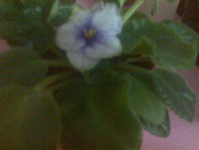 Name:  Grnt152.jpg
Views: 2143
Size:  30.7 KB