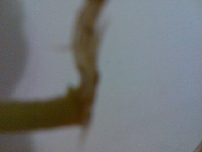 Name:  Grnt210.jpg
Views: 1519
Size:  19.1 KB