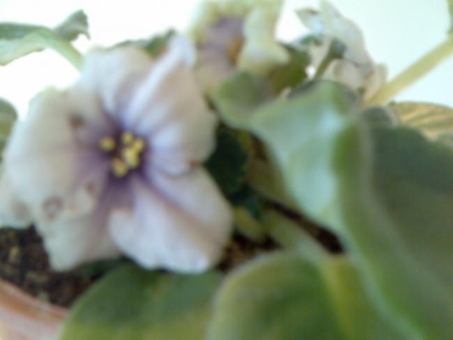 Name:  Grnt206.jpg
Views: 1558
Size:  21.5 KB