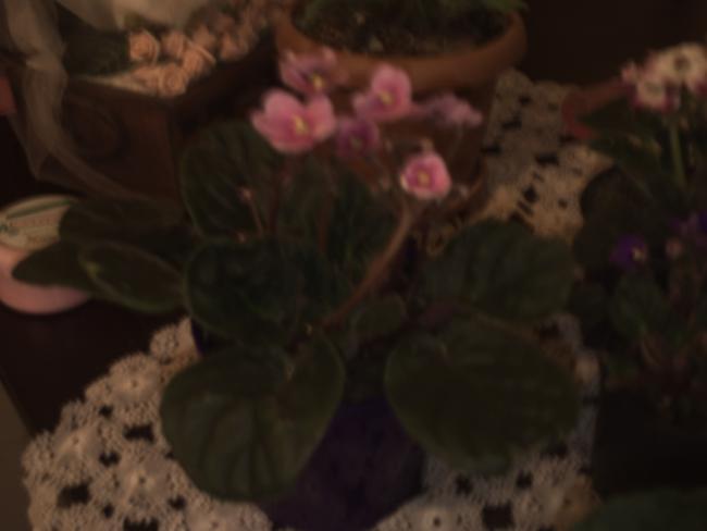 Name:  PICT0001.jpg
Views: 1391
Size:  21.0 KB