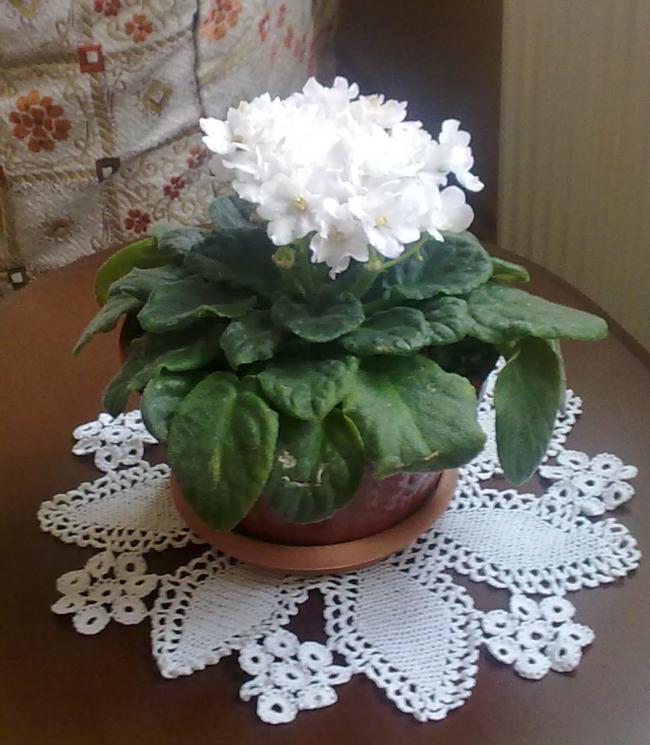 Name:  03022011004.jpg
Views: 2481
Size:  65.5 KB