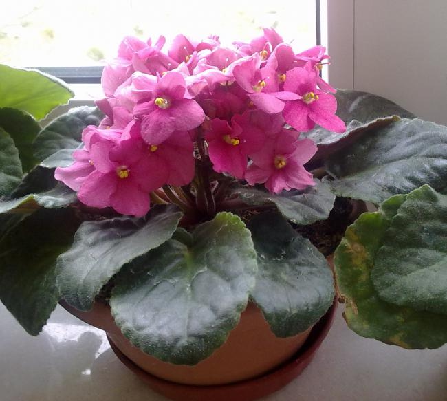 Name:  03022011009.jpg
Views: 2045
Size:  50.1 KB
