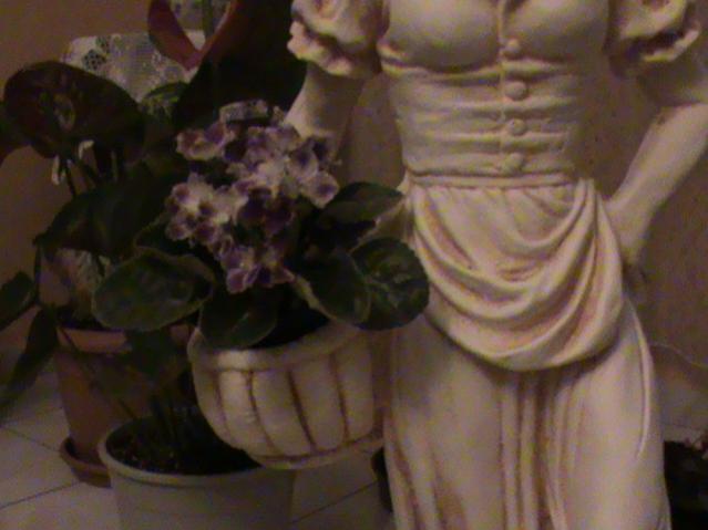 Name:  DSC00170.jpg
Views: 1421
Size:  32.3 KB
