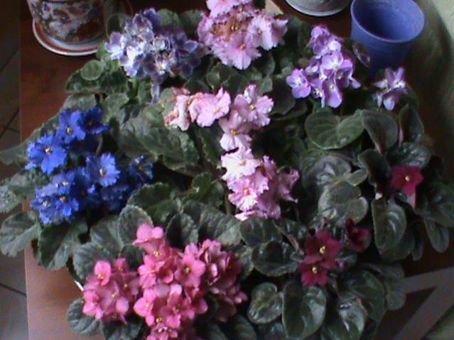 Name:  DSC00184.jpg
Views: 1943
Size:  50.8 KB