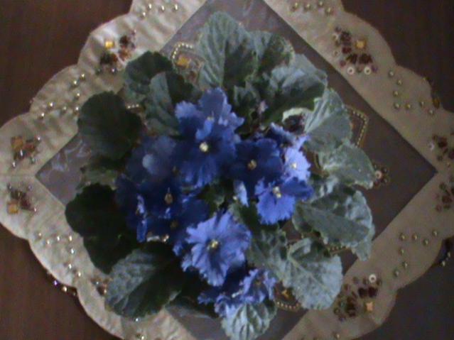Name:  DSC00197.jpg
Views: 1523
Size:  37.7 KB