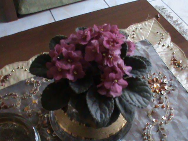 Name:  DSC00194.jpg
Views: 1480
Size:  41.7 KB