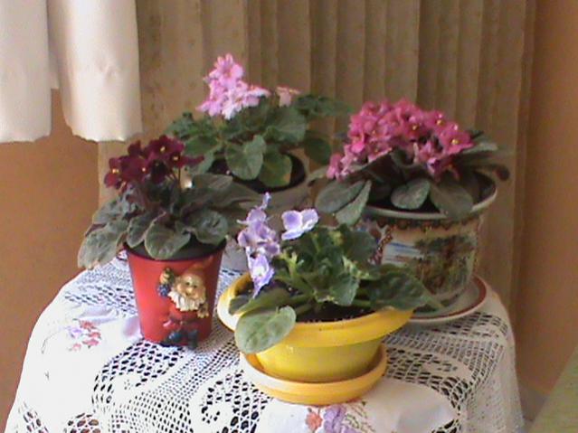 Name:  DSC00310.jpg
Views: 1585
Size:  43.9 KB