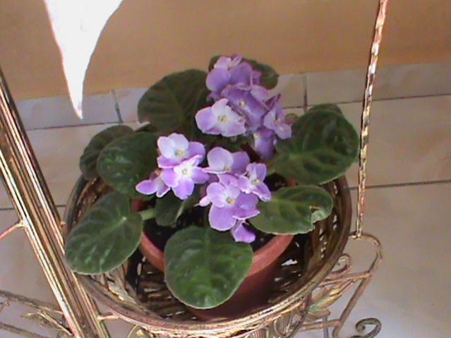Name:  DSC00307.jpg
Views: 1507
Size:  40.5 KB