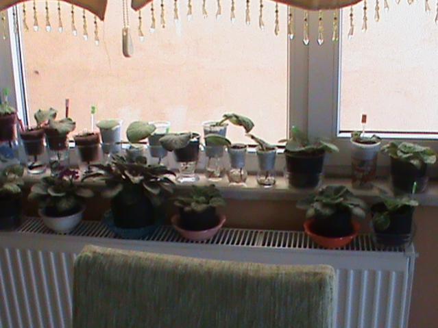 Name:  DSC00322.jpg
Views: 1803
Size:  38.7 KB