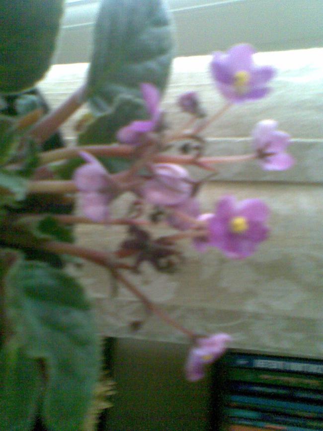 Name:  Image002.jpg
Views: 1583
Size:  60.3 KB