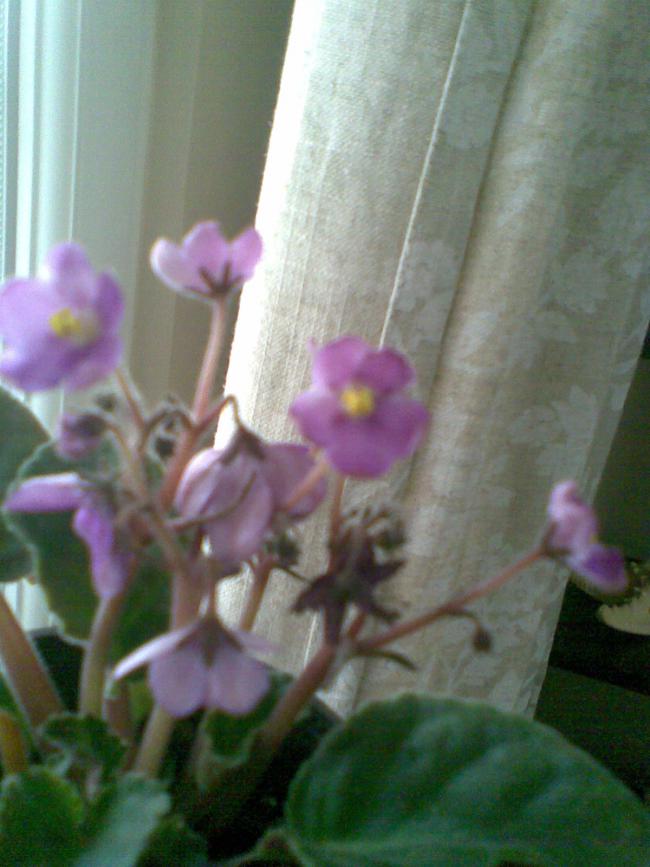 Name:  Image001.jpg
Views: 1558
Size:  61.3 KB