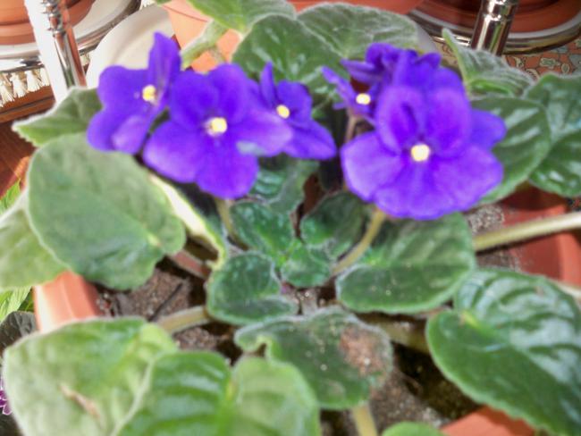 Name:  228.05.2011 028.jpg
Views: 1762
Size:  42.7 KB